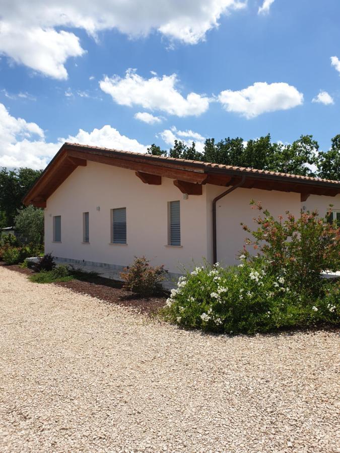 Roccasecca Il Rifugio Del Tempo B&B 외부 사진